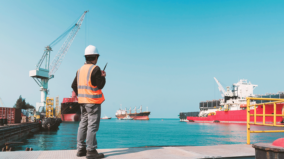 Professional stevedore at work at the port